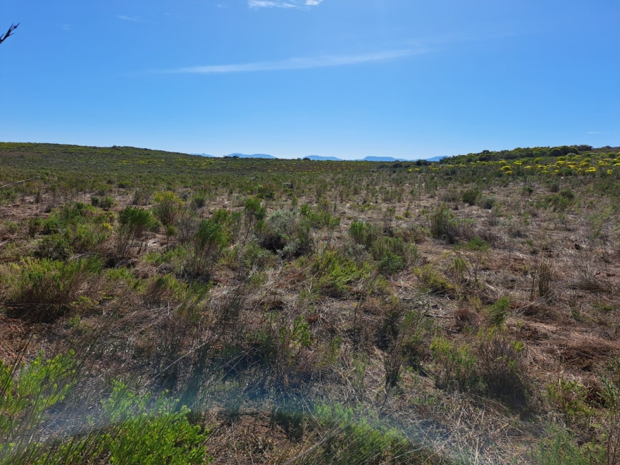 10 Bedroom Property for Sale in Stilbaai Rural Western Cape